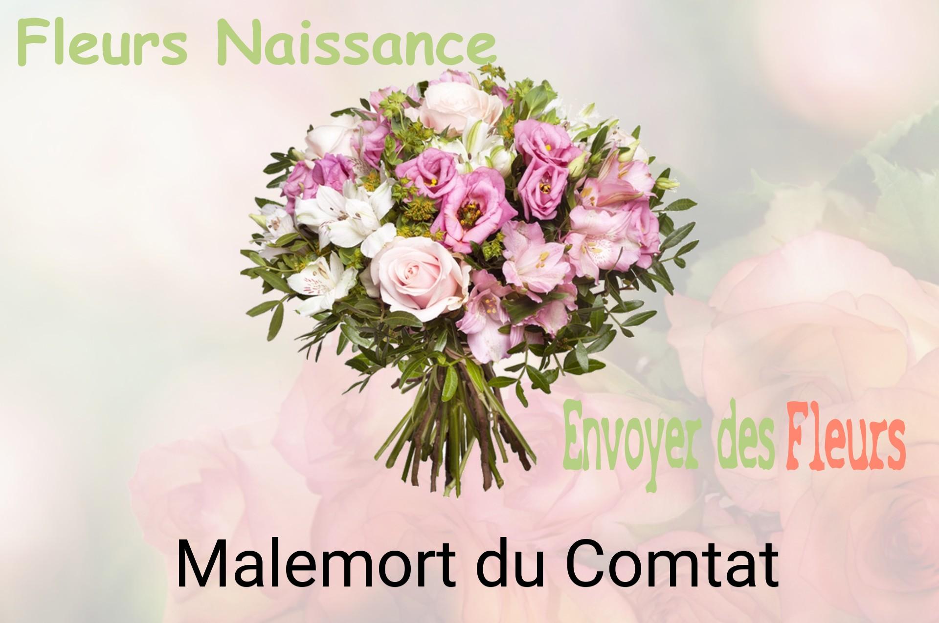 Bouquet de fleurs de naissance livré à Malemort-du-Comtat